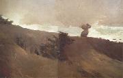 Winslow Homer West Wind (mk44) oil painting picture wholesale